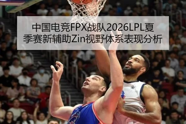 中国电竞FPX战队2026LPL夏季赛新辅助Zin视野体系表现分析